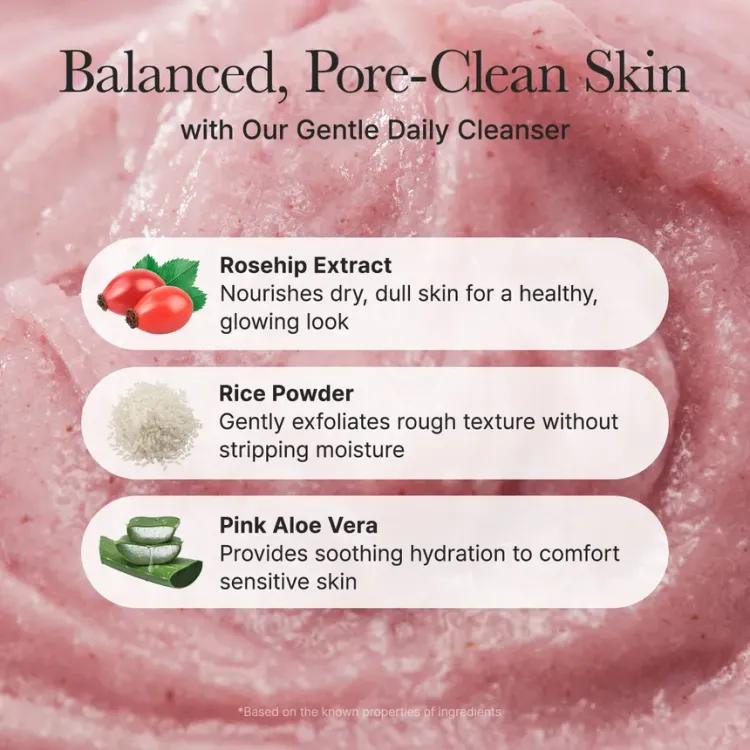 Arencia Fresh Rosehip Rice Mochi Cleanser 120g